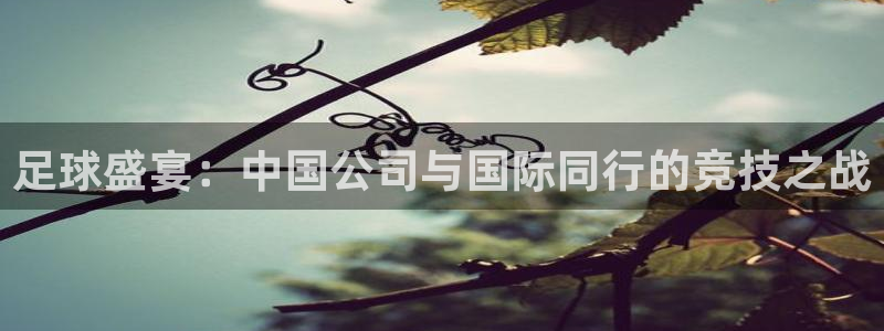 足球盛宴：中国公司与国际同行的竞技之战