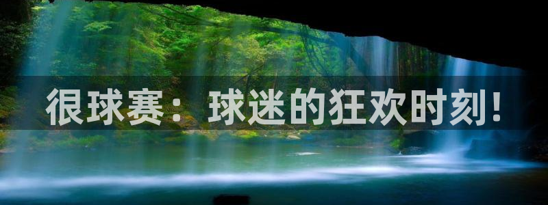 九游体育app：很球赛：球迷的狂欢时刻!