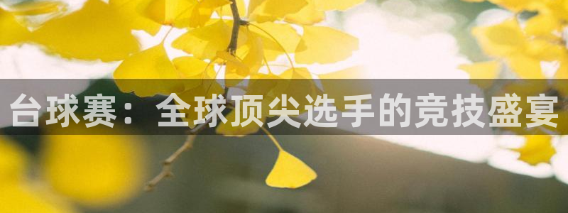 九游体育下载：台球赛：全球顶尖选手的竞技盛宴