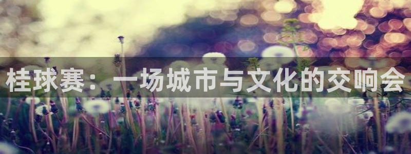 九游体育登录：桂球赛：一场城市与文化的交响会