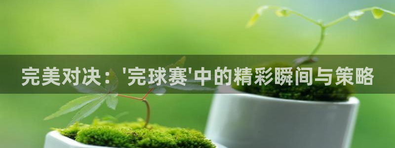 九游体育官网入口：完美对决：\'完球赛\'中的精彩瞬间与策略