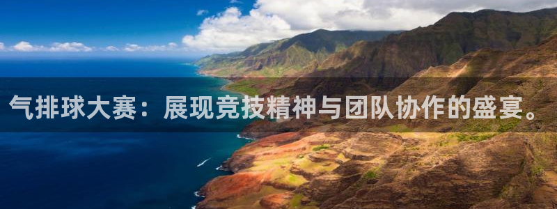 九游体育：气排球大赛：展现竞技精神与团队协作的盛宴。